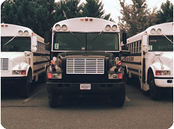 Easyriders request a quote