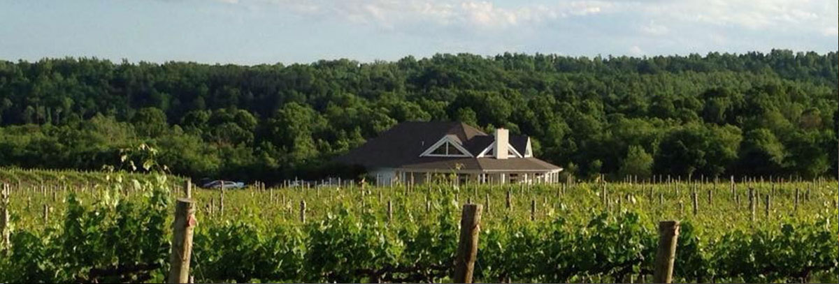 wine and brewery tours